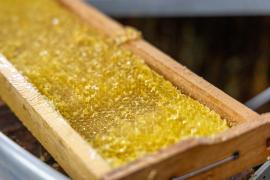 WhatsApp Image 2024-08-21 at 14.44.08.jpeg