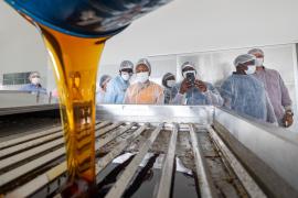 WhatsApp Image 2024-08-21 at 14.44.10.jpeg