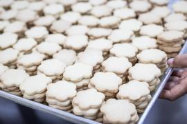 WhatsApp Image 2024-08-22 at 14.53.17 (2).jpeg