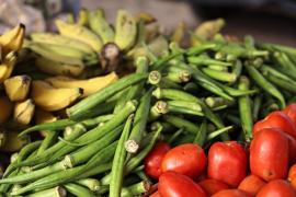 WhatsApp Image 2024-08-24 at 14.20.24(1).jpeg