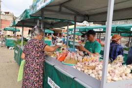 WhatsApp Image 2024-08-24 at 14.20.24.jpeg