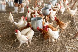 WhatsApp Image 2024-08-27 at 15.19.21(1).jpeg