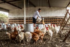 WhatsApp Image 2024-08-27 at 15.19.21(2).jpeg