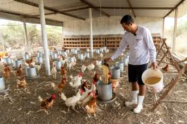 WhatsApp Image 2024-08-27 at 15.19.21.jpeg