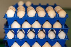 WhatsApp Image 2024-08-27 at 15.19.25(2).jpeg