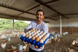 WhatsApp Image 2024-08-27 at 15.19.25.jpeg