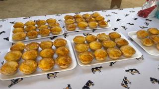 WhatsApp Image 2024-08-29 at 16.35.18(2).jpeg