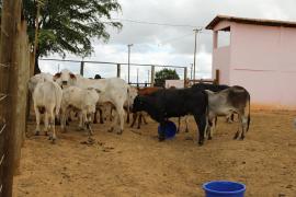 Centro de Comercialização de Animais em Várzea do Poço (10).jpeg