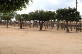 Centro de Comercialização de Animais em Várzea do Poço (3).jpeg