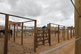 Centro de Comercialização de Animais em Várzea do Poço (4).jpeg