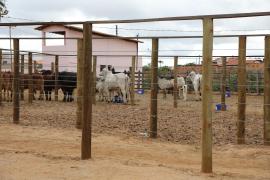 Centro de Comercialização de Animais em Várzea do Poço (5).jpeg