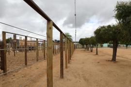 Centro de Comercialização de Animais em Várzea do Poço (6).jpeg