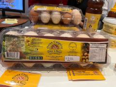 WhatsApp Image 2024-09-04 at 12.28.28.jpeg