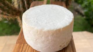 WhatsApp Image 2024-09-06 at 16.16.09.jpeg