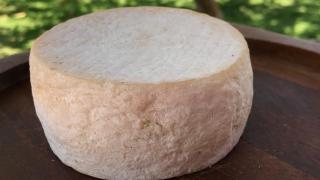 WhatsApp Image 2024-09-06 at 16.16.10(1).jpeg