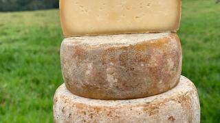 WhatsApp Image 2024-09-06 at 16.16.10.jpeg