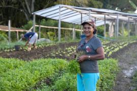 WhatsApp Image 2024-09-12 at 12.16.17.jpeg