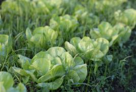 WhatsApp Image 2024-09-12 at 12.16.20(1).jpeg