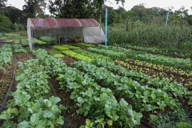 WhatsApp Image 2024-09-12 at 12.16.23.jpeg