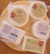 WhatsApp Image 2024-09-16 at 14.02.58.jpeg