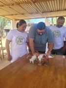 WhatsApp Image 2024-09-16 at 14.05.37.jpeg