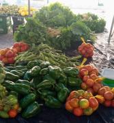 WhatsApp Image 2024-09-20 at 13.52.23 (1).jpeg