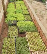 WhatsApp Image 2024-09-20 at 13.52.23.jpeg