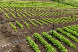 WhatsApp Image 2024-09-27 at 09.52.28.jpeg