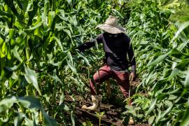 WhatsApp Image 2024-09-27 at 09.52.29.jpeg