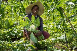 WhatsApp Image 2024-09-27 at 09.52.30.jpeg