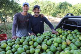 Fruticultura no Litoral Norte da Bahia é impulsionada com agroindústria_FT-Geraldo Carvalho (45).JPG