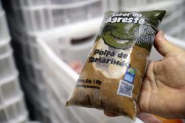 Fruticultura no Litoral Norte da Bahia é impulsionada com agroindústria_FT-Geraldo Carvalho (8).JPG