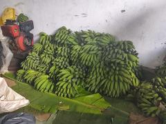 WhatsApp Image 2024-09-26 at 14.22.45.jpeg