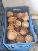 WhatsApp Image 2024-09-26 at 14.22.46.jpeg