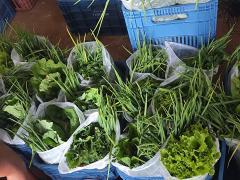 WhatsApp Image 2024-09-26 at 14.22.54.jpeg