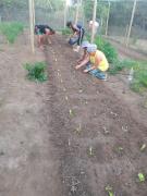 WhatsApp Image 2024-09-30 at 18.04.50(1).jpeg