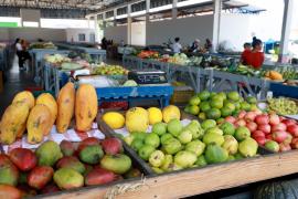 WhatsApp Image 2024-10-02 at 17.06.50 (1).jpeg