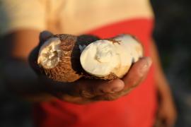 WhatsApp Image 2024-10-17 at 16.13.53.jpeg