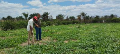 WhatsApp Image 2024-10-22 at 17.38.07.jpeg