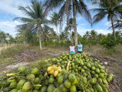 WhatsApp Image 2024-10-23 at 09.45.15.jpeg