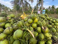 WhatsApp Image 2024-10-23 at 09.45.16 (1).jpeg