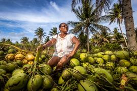 WhatsApp Image 2024-10-23 at 09.45.18.jpeg