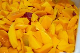 Mulheres empreendedoras-6.jpg