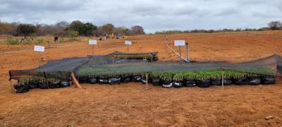 WhatsApp Image 2024-11-01 at 15.11.59 (1).jpeg