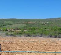 WhatsApp Image 2024-11-01 at 15.12.01 (1).jpeg