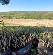 WhatsApp Image 2024-11-01 at 15.12.01 (2).jpeg