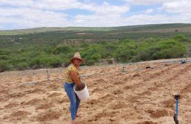 WhatsApp Image 2024-11-01 at 15.12.02 (3).jpeg