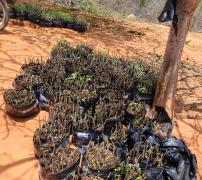 WhatsApp Image 2024-11-01 at 15.12.04 (3).jpeg