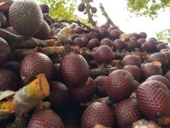 WhatsApp Image 2024-11-06 at 09.41.35.jpeg