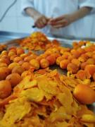 WhatsApp Image 2024-11-06 at 09.41.37 (1).jpeg